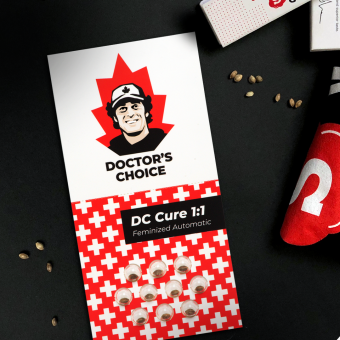 DC Cure 1:1 - картинка 2